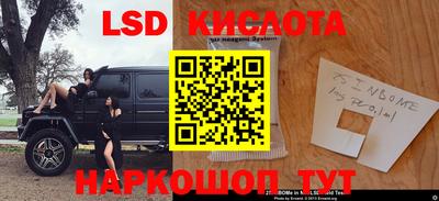 молекула духа Берёзовский