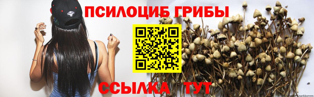 Ишимбай  Галлюциногенные грибы Magic Shrooms  Вход с VPN  Псилоцибиновые грибы мухоморы 